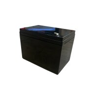 24 Volt 5Ah Batterie
