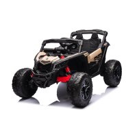 Can-Am Buggy
