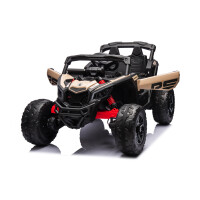 Can-Am Buggy