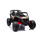 Can-Am Buggy