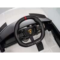 Kinder Elektroauto Lamborghini Lanzador 12V zwei Motoren+FB+Audio