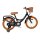 Volare Ashley Kinderfahrrad - Mädchen - 16 Zoll - Schwarz - Zwei Handbremsen