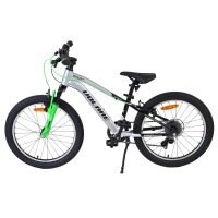 Volare Boost Kinderfahrrad – 20 Zoll – 7 Gänge – Silber/Grün