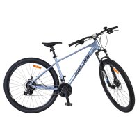 Volare X-Trail MTB – Jungen – 29er – M – Grau – 21 Gänge